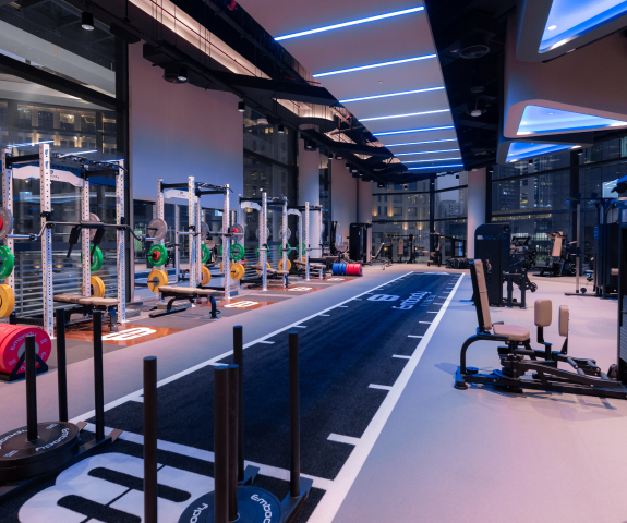 Lamborgini Embody machines and weights