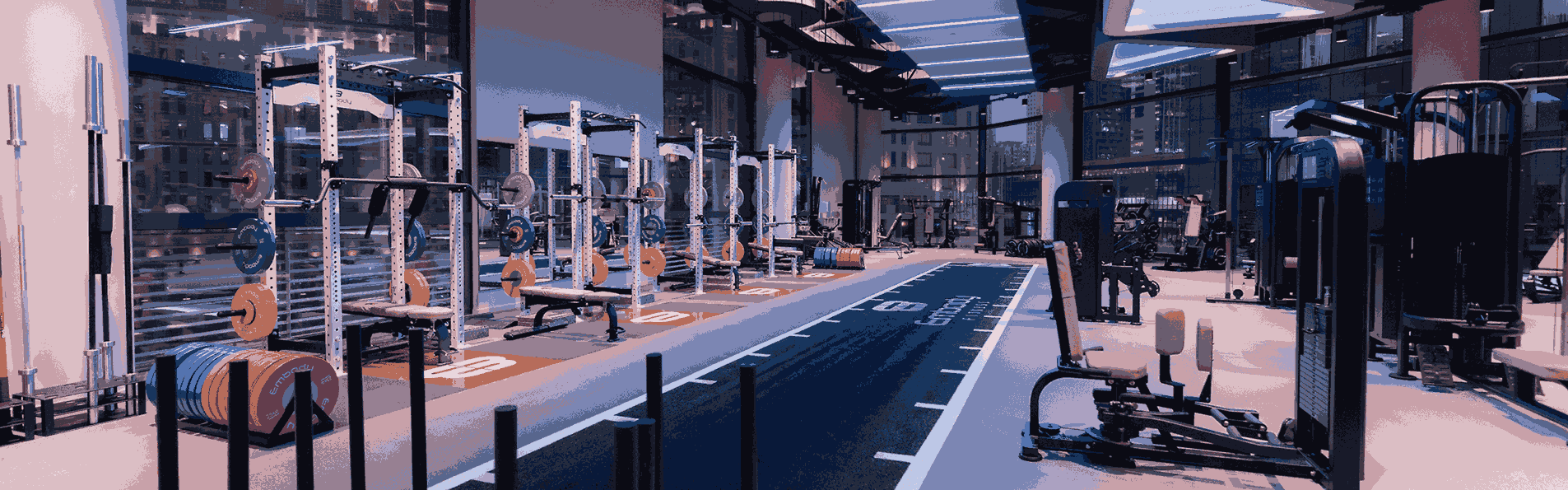 Gym weights and machines