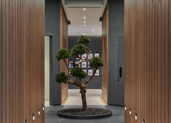 interior with tree