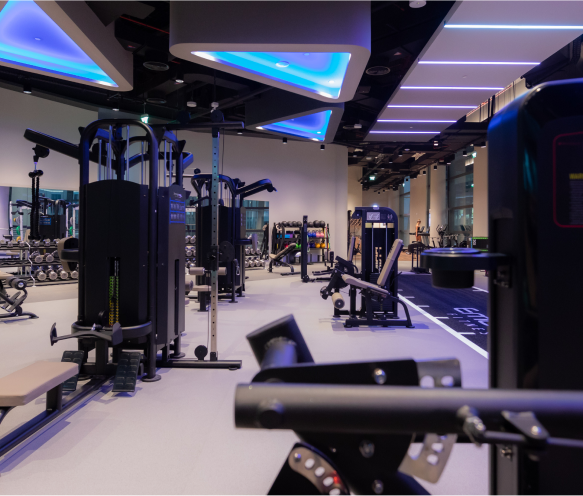interior gym weights and machines